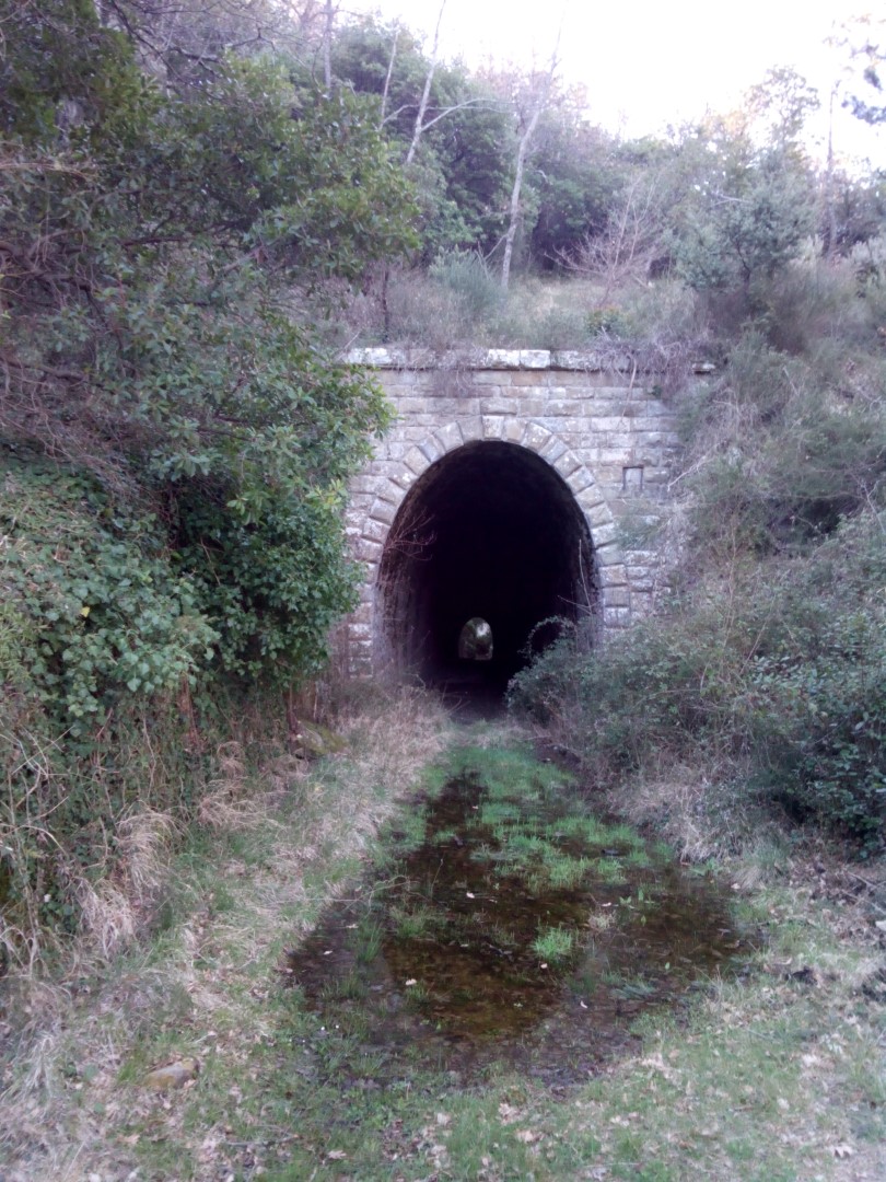 I resti della ferrovia a scartamento ridotto da Arezzo a Fossato